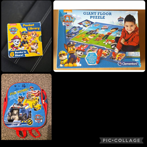 Paw patrol books - patrol,