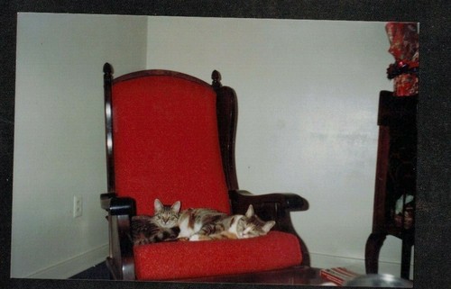 Vintage photograph two - photograph,