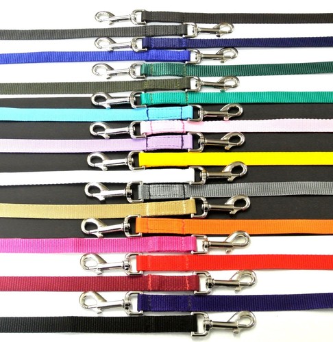 Long dog lead puppy - dog,