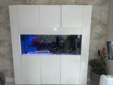Built In Wall Aquarium (Full Set Up)