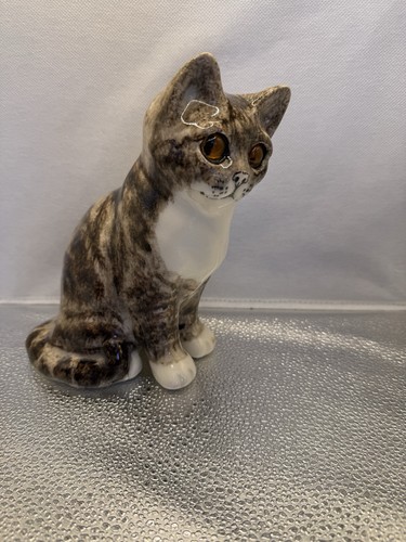 Winstanley tabby cat - winstanley,