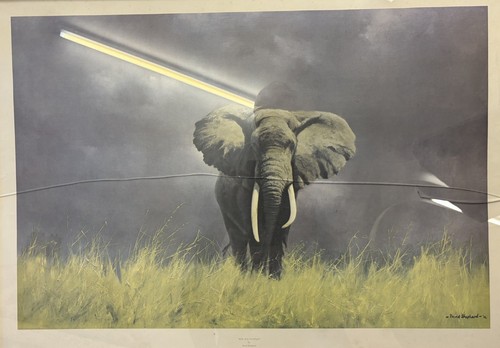 Rare large signed david - large,
