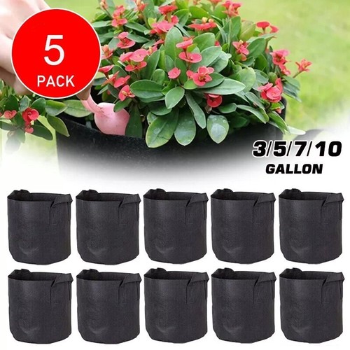 Pack large plant grow - plant,