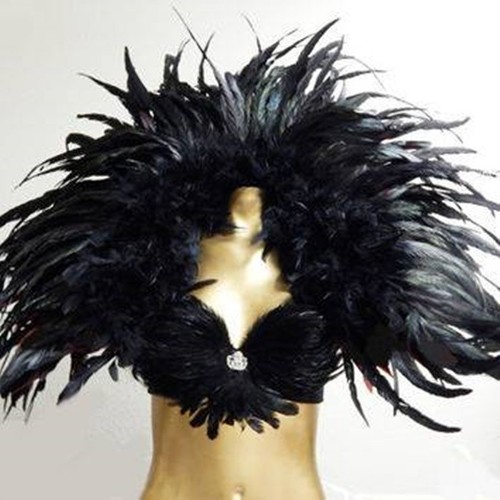 Raven feather gothic - raven,
