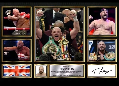 Tyson fury reproduction - tyson,
