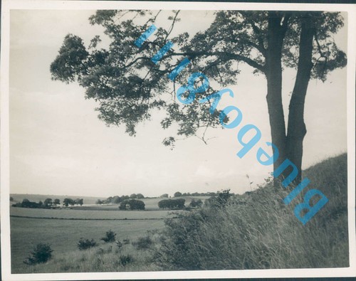 Chiltern hills near luton - hills,