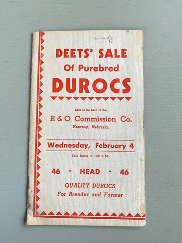 Vintage purebred durocs hogs - vintage,