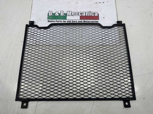 Grill stone guard radiator - grill,