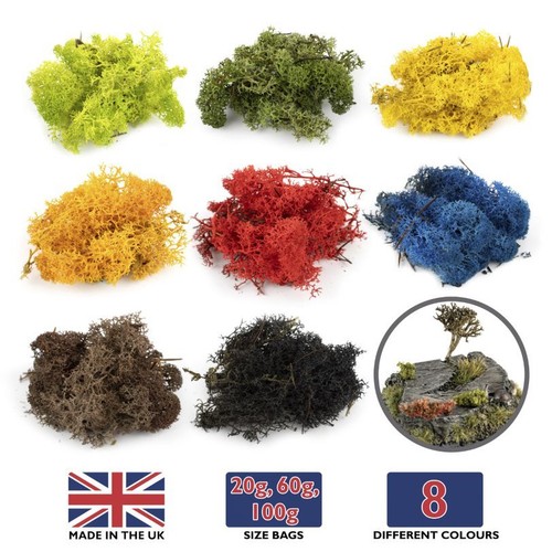 Lichen moss model - lichen,