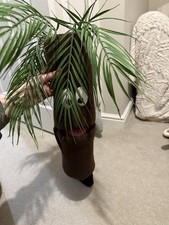 One Way Uk Peter Palm Tree