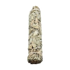 Smudge Stick, White Sage 9"