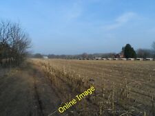 Photo 6x4 Pheasant rearing