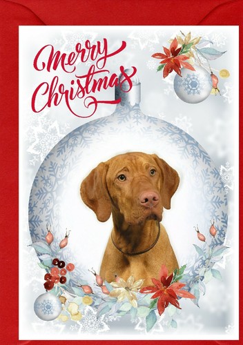 Hungarian vizsla dog x - dog, a6