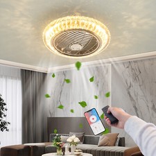 Ceiling Fan with Lamp with