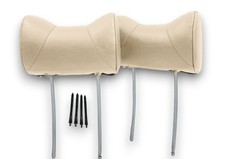 Front Headrests With Mounting