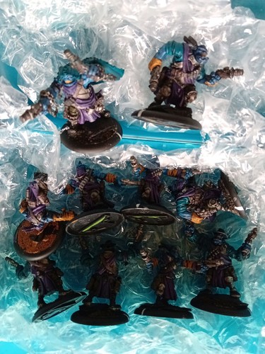Trollkin highwaymen x10 - trollkin,