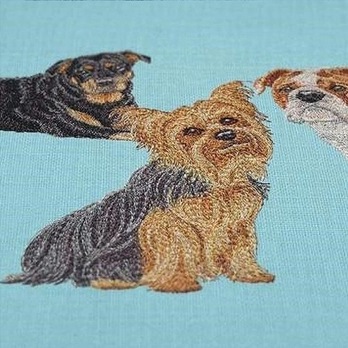 Machine embroidery designs usb - embroidery,