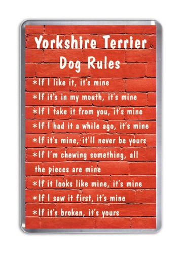Yorkshire terrier dog rules - yorkshire,