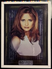 BUFFY THE VAMPIRE SLAYER THE