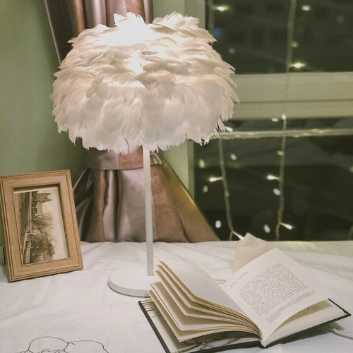 Lamp feather shade lampshade - lamp,