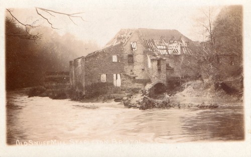 Bristol stapleton old - stapleton, snuff