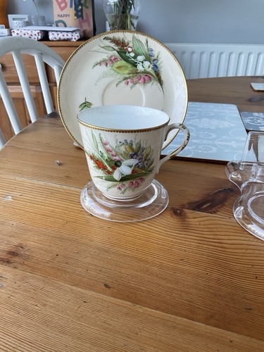 Royal worcester cup - worcester, and