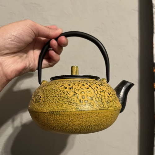 Tetsubin cast iron japanese - iron,
