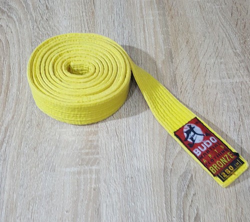 Martial arts karate belt - karate,