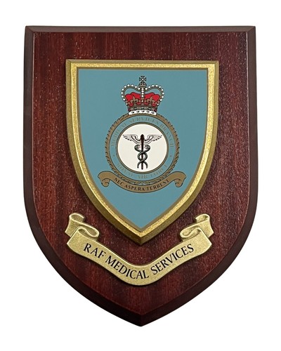 Raf medical services - medical,