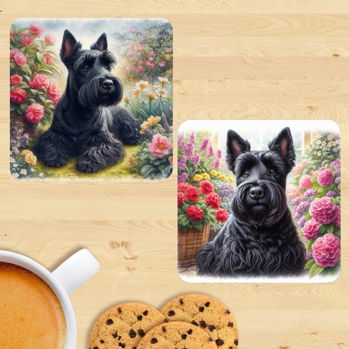 Scottish terrier coasters - scottish,