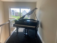 Digital-Converted Black Baby