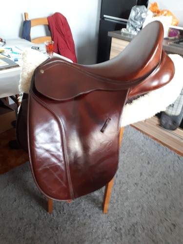 Ins bates caprilli dressage - ins,