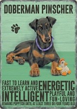 Doberman Pinscher fridge