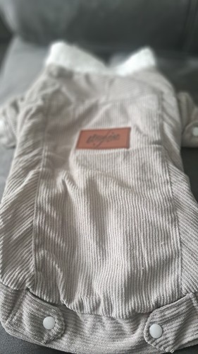 Dog coat suit - dog, to