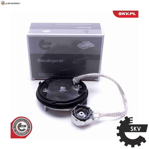 Ecu lighting 59skv062 - ecu,