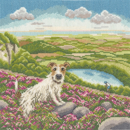 One vet and his dog - and, cross