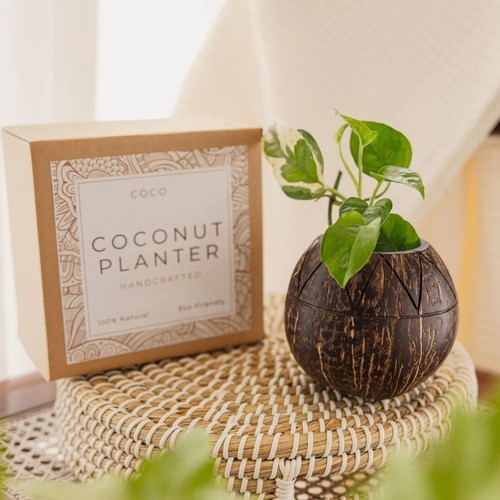 Coconut shell zig zag - zig,