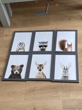 6 x A4 Baby Animal Prints