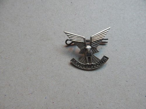 Rhodesian copy selous - rhodesian,