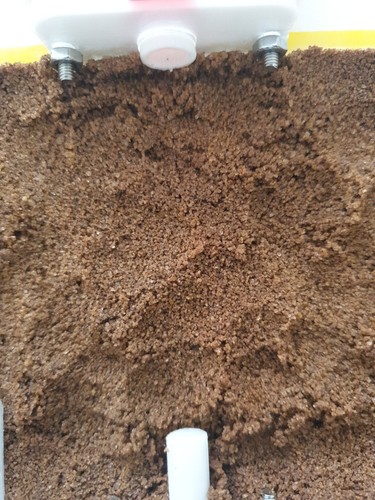 Ant farm nest - farm,