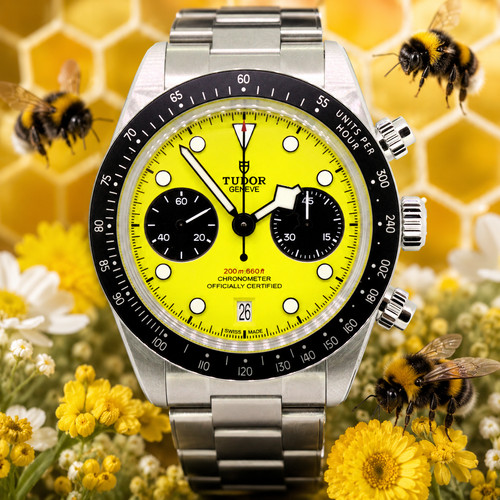 Tudor black bay - black, bumblebee