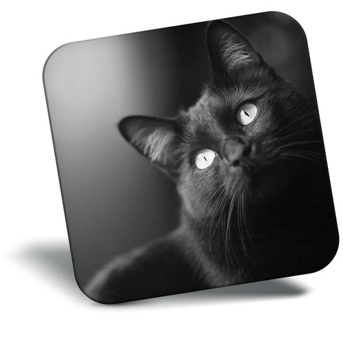 Awesome fridge magnet - magnet, bw