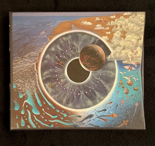 Pink floyd pulse - pink, set