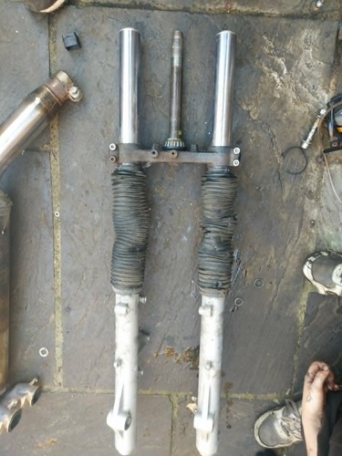 Triumph 955 tiger - triumph, forks