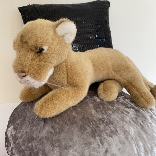 Quality angry lioness laying - angry,