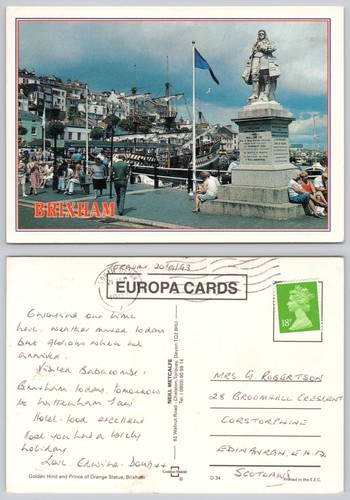 C28459 golden hind - golden,
