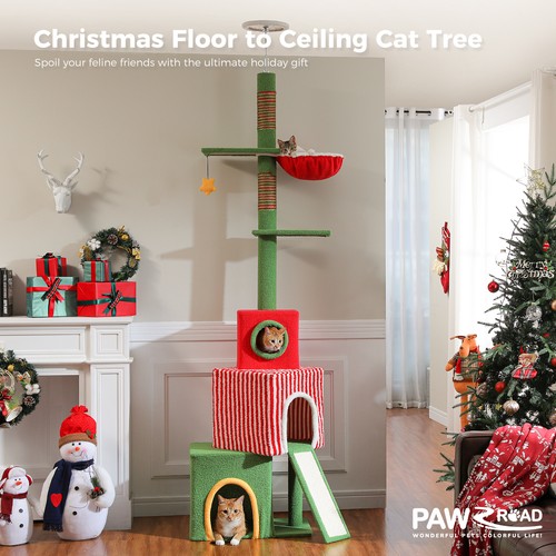 Pawz road christmas - pawz,