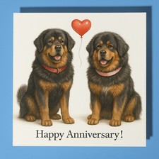 Tibetan Mastiff - Happy