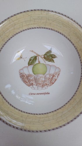Wedgwood sarah garden - wedgwood, sarah's