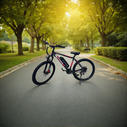 Inch red pedal assist - 🛵26,